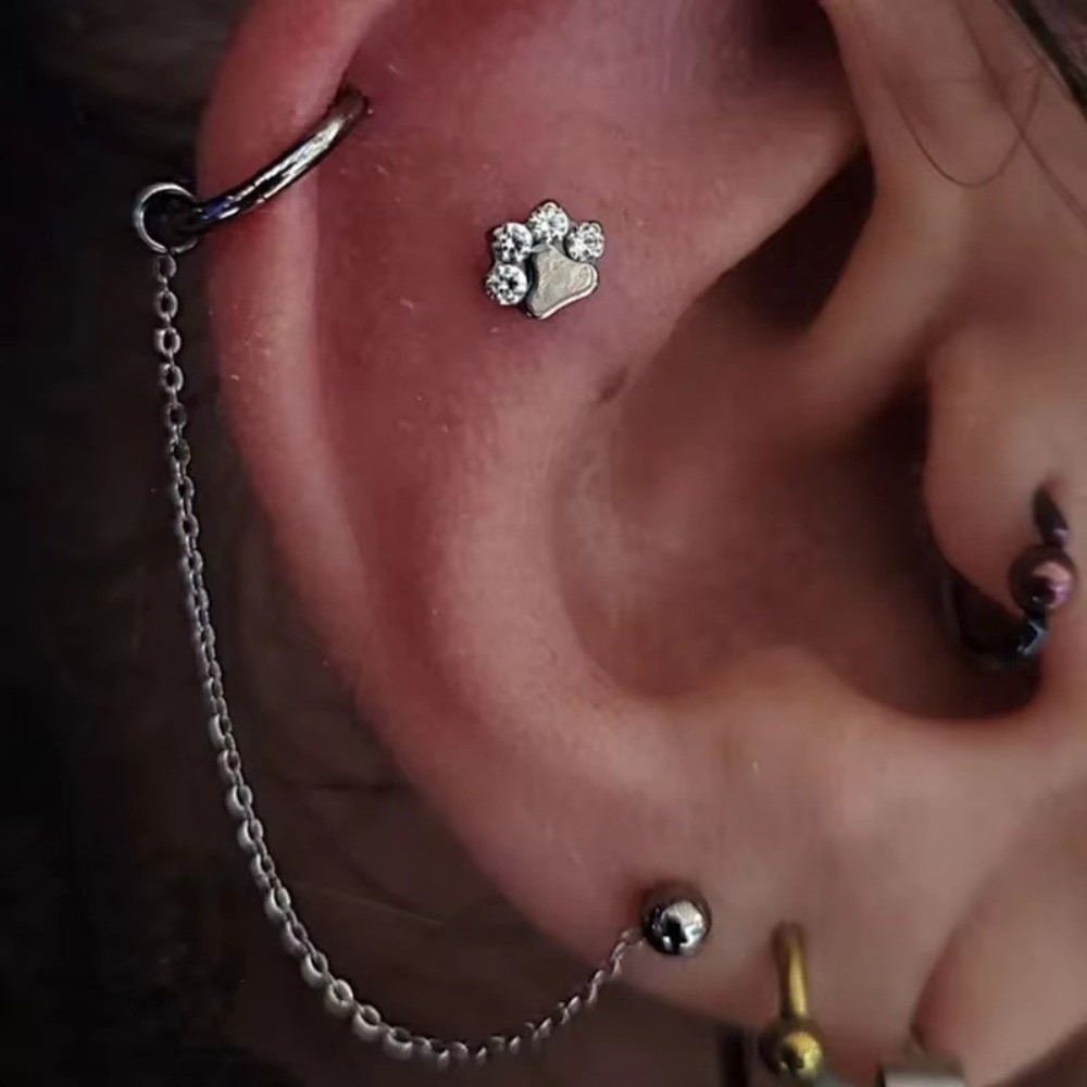 โซ่จมูกไทเทเนียม 3 ชั้น โซ่คู่ - Body Jewelry Nose บทวิจารณ์และราคา